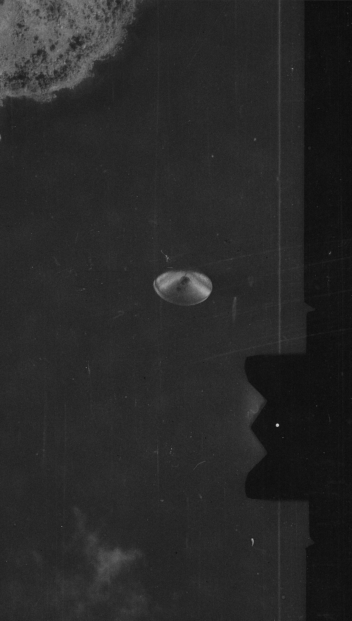 继续追寻真相。