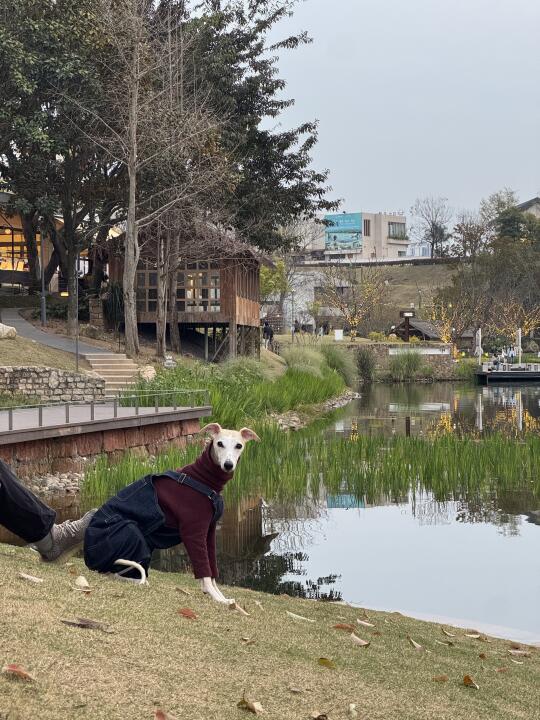 如果新疆不再友好 那将不是我的理想之地