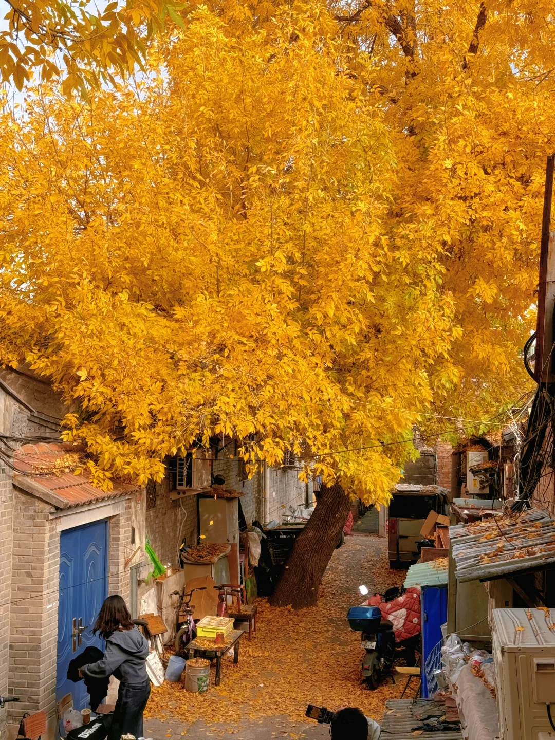 北京秋天🍁适合citywalk的1⃣️0⃣️个胡同🍂