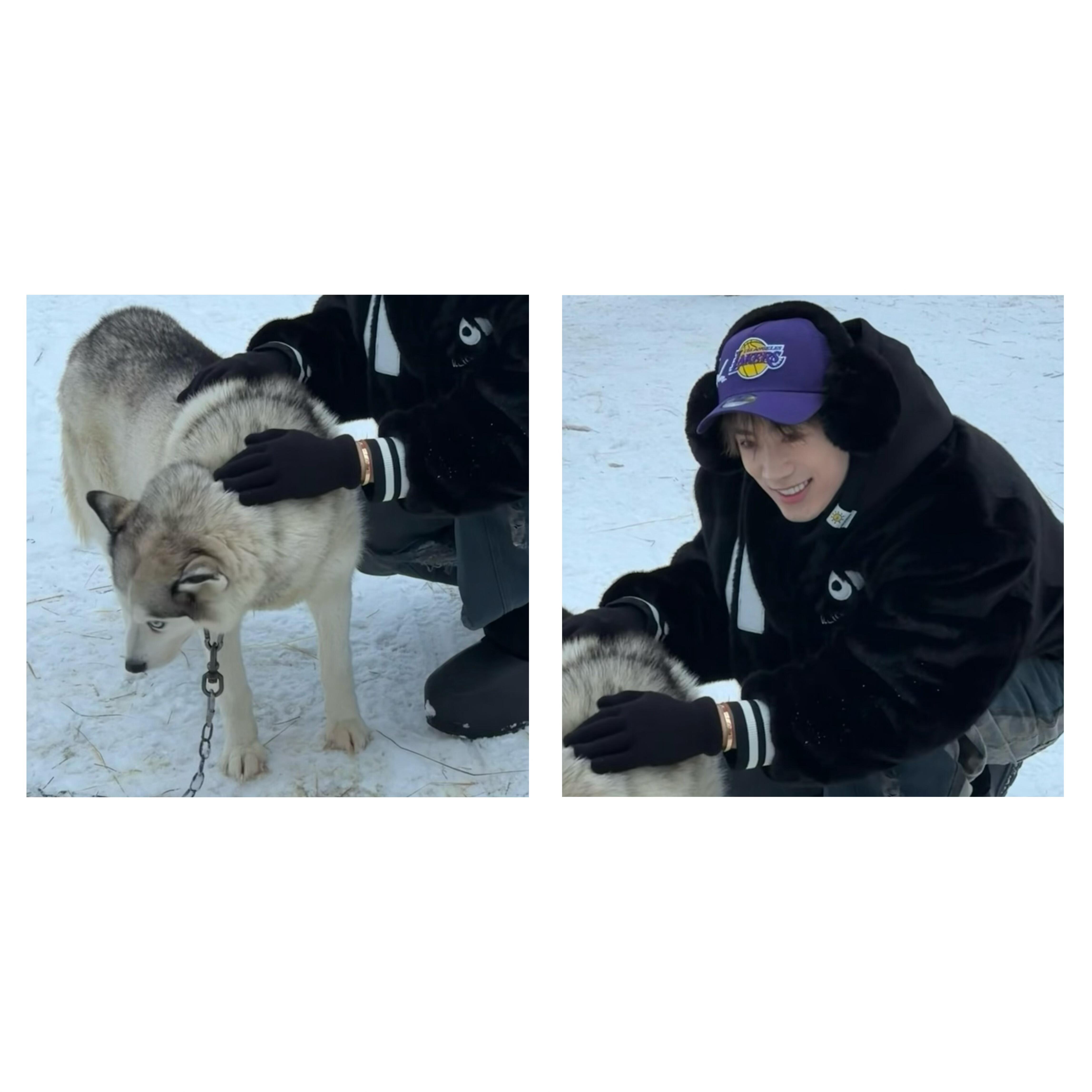 鹭卓真的不能和我们用情头吗我都想好了 我们用小鹭卓帅气的脸庞十个勤天  |  种