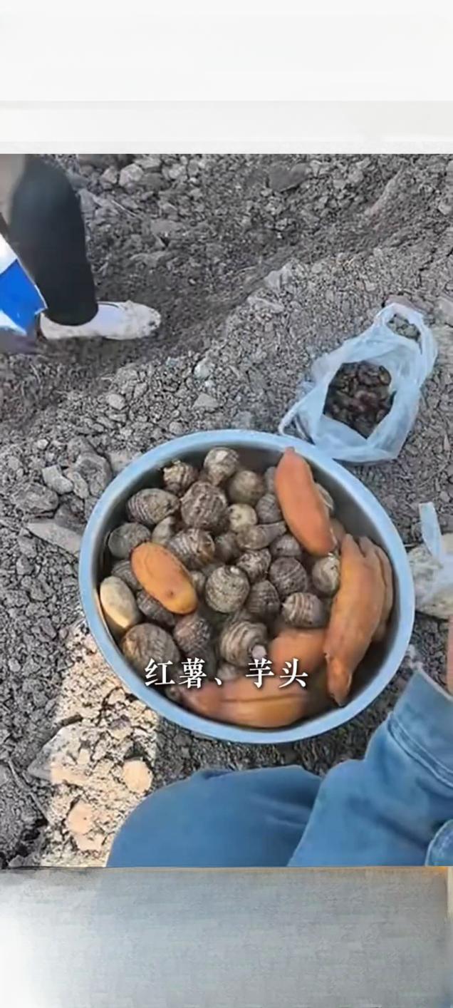 一盘“知了猴” 暖出“鲁豫一家亲”

近日，一段记录山东大姨与河南工人之间温暖互