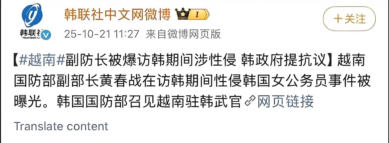 网友剧透
剧情是这样的：韩国用女星色诱越南防长，防长得到后回国不办事，韩国告之…