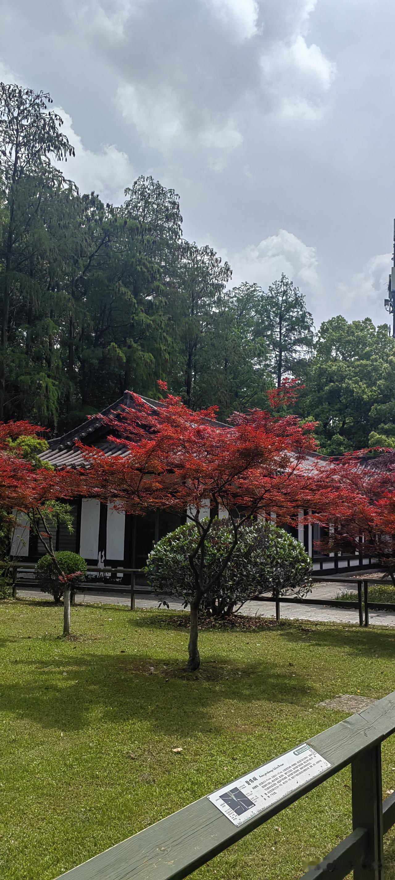 在美的东西，欣赏就好，不要贪图拥有。贪心一起，万事皆休。美，之所以美，是有无限的