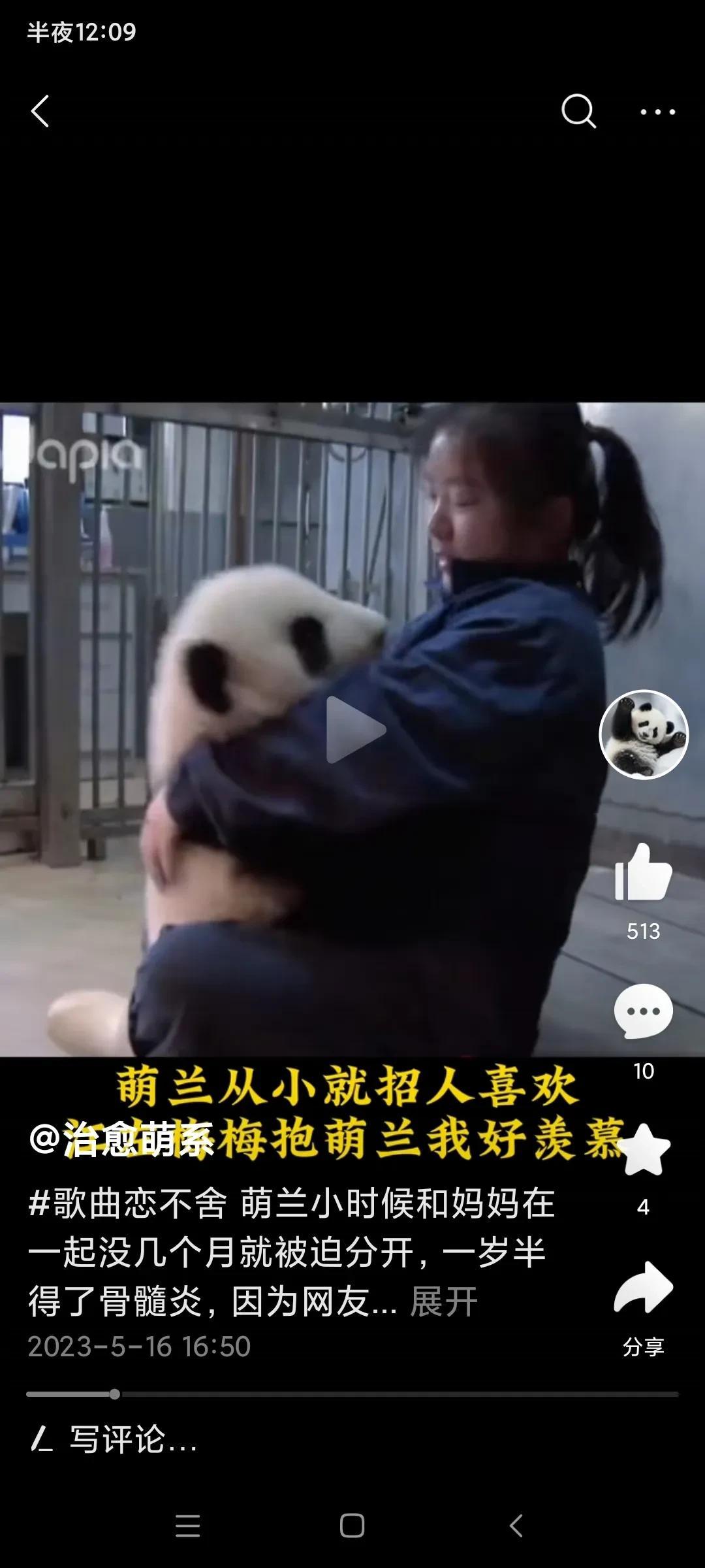 谁能说一下，江左梅梅怎么不带熊猫拍视频了，前有大连金虎的话痨奶妈不带金虎了，后有