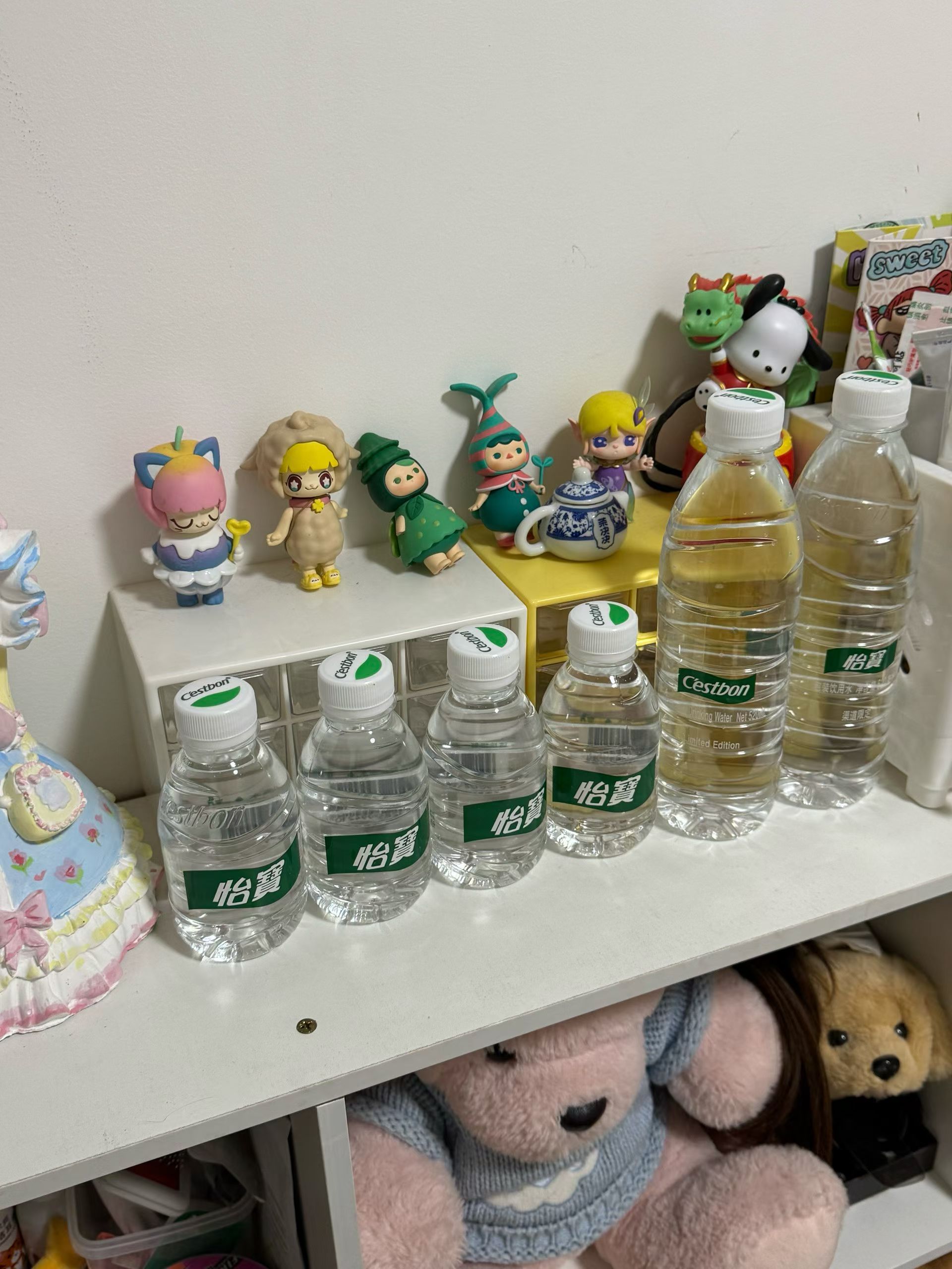 新养的宠物生活手记