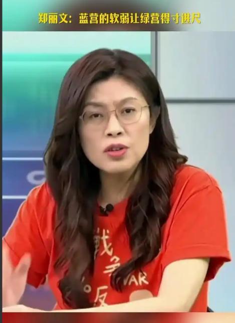 郑丽文可能成为“一阵风”！有位军事专家表示，别看国民党主席郑丽文现在很“火”，“