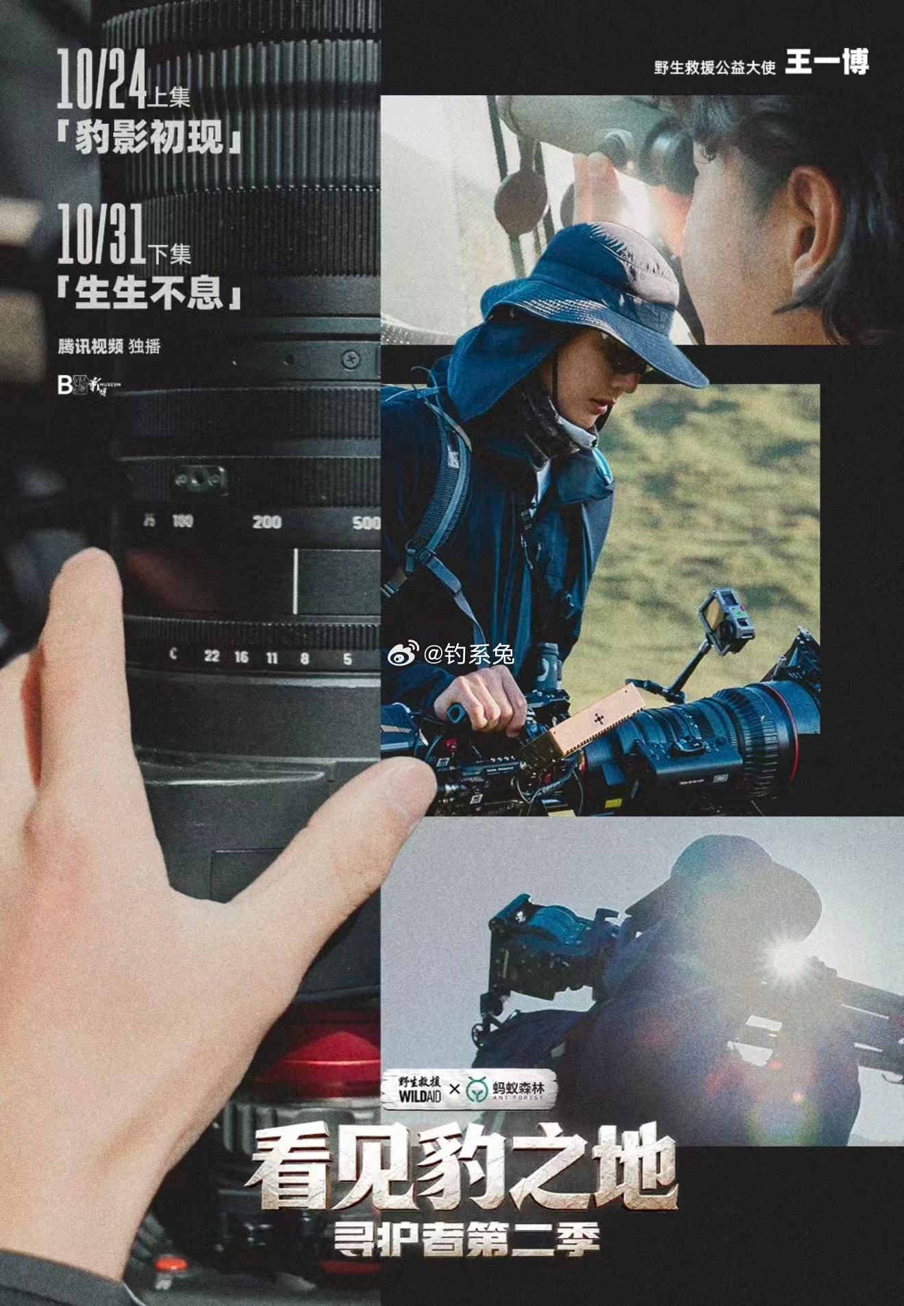 王一博高原蹲守近半个月拍下华北豹高原蹲守半个月拍一只豹，这份耐心不是谁都有的。玉