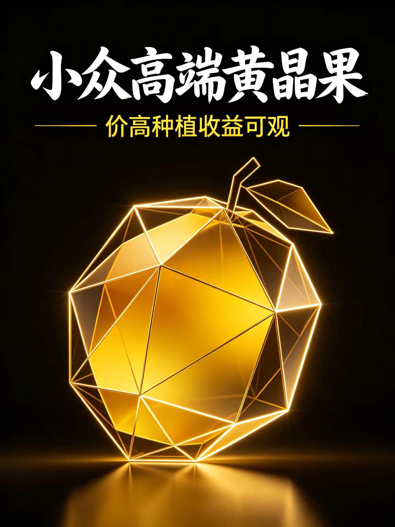小众高端黄晶果，价高种植收益可观！。黄晶果种植 水果种植