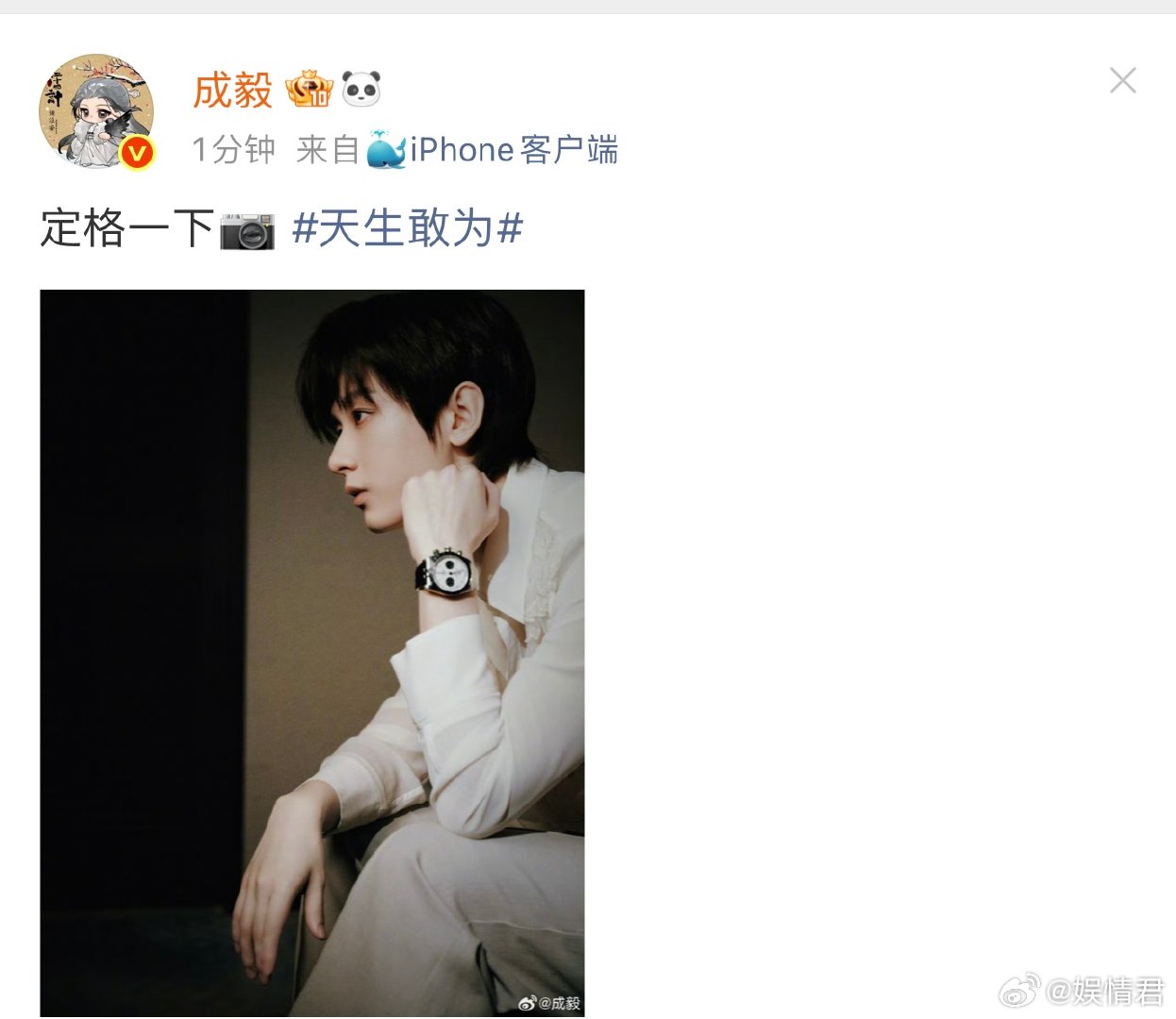 成毅定格一下成毅就这么轻轻的秒了 