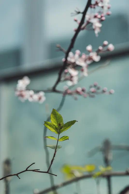 上联：满园春意浓如酒；
下联：几树梅香醉了诗。
春天本就是充满生机的时节，满园的