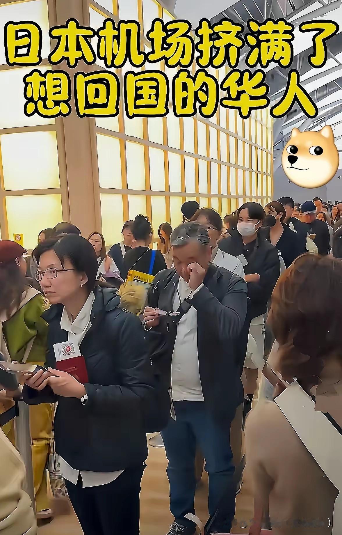 日本机场同胞愁容满面！早提醒别去偏不听，这罪受得值吗？
 
日本机场里扎堆的同胞
