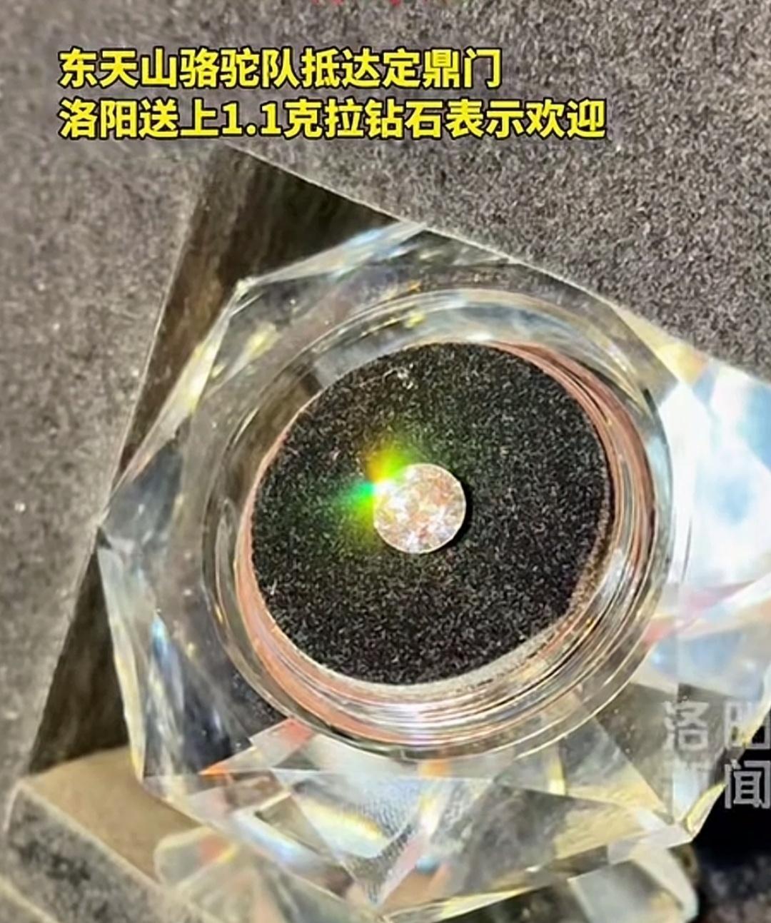 赠送远道而来的朋友，洛阳牡丹花生长的钻石。 ​​​