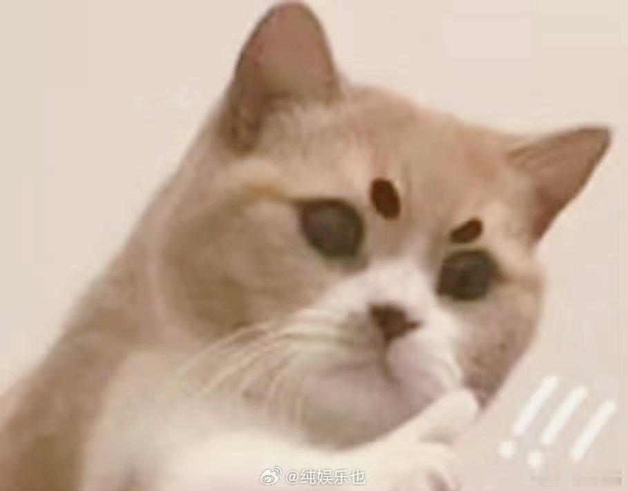 春晚算是被年轻人玩明白了   一代人有一代人的春晚 直接是戳中了我们的内心，看着