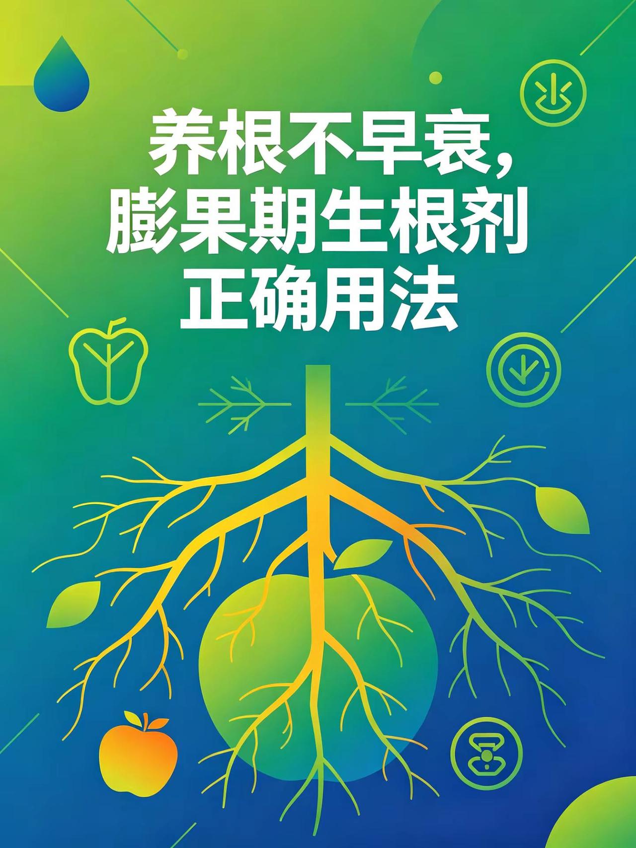 养根不早衰，膨果期生根剂正确用法。养根 早衰 膨果期