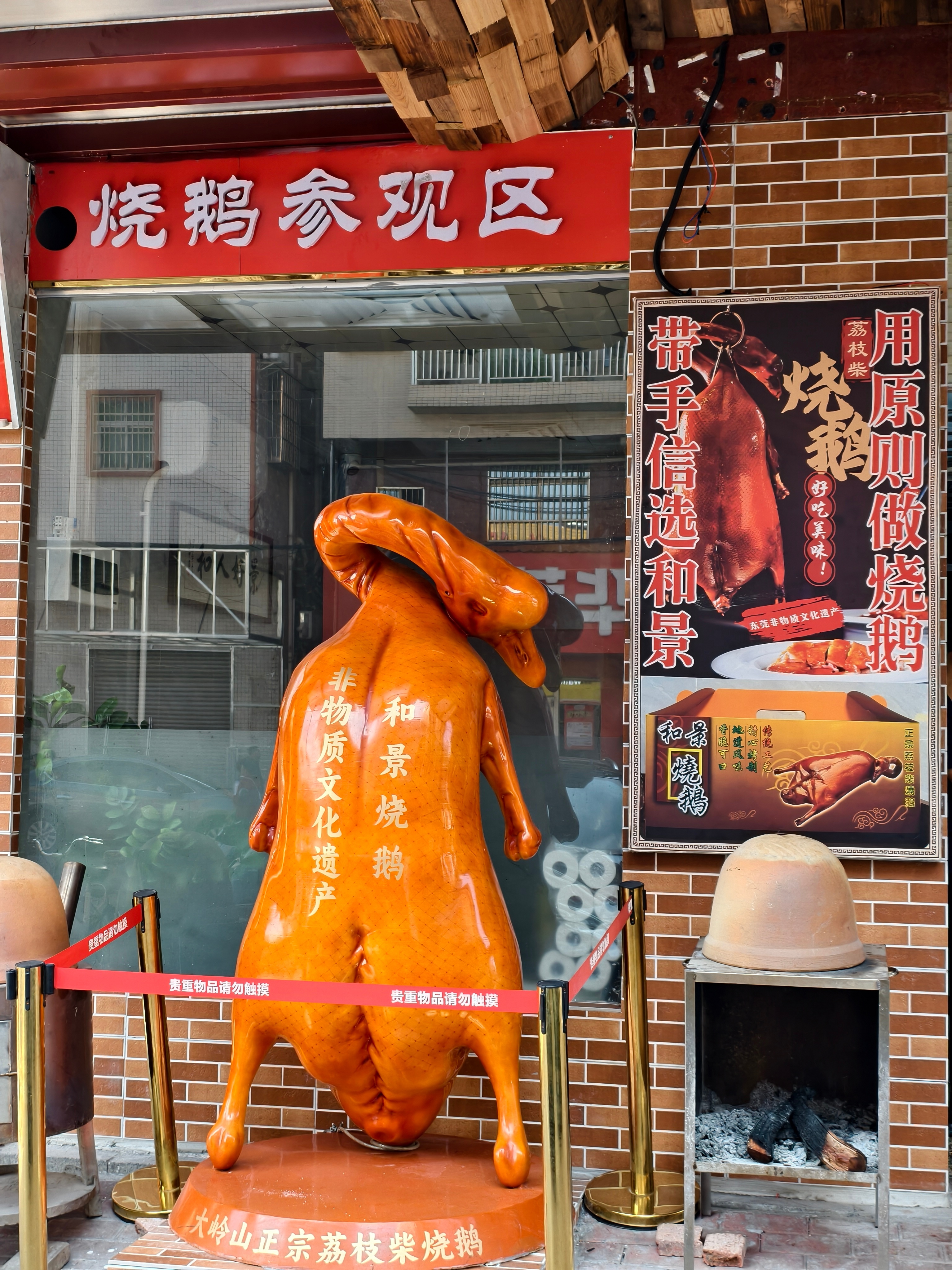 晚安，放一些周末的图，与各位共赏 [拜托] 期待的江门鹅鹅  ​​​