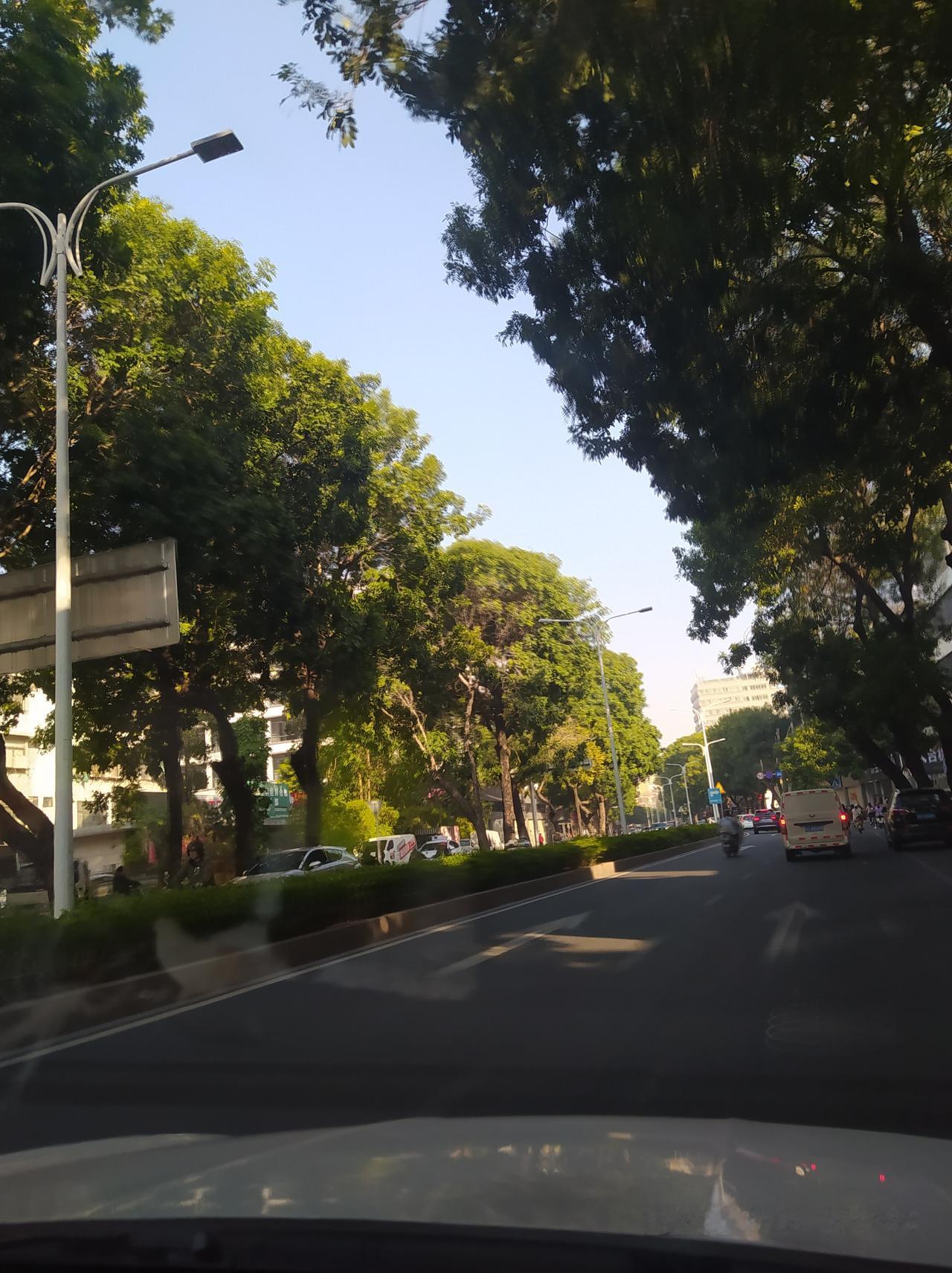 风掠过眉弯时，冬天便悄悄退场，
阳光漫过肩头，把心事慢慢照亮。
花儿不必言语，只