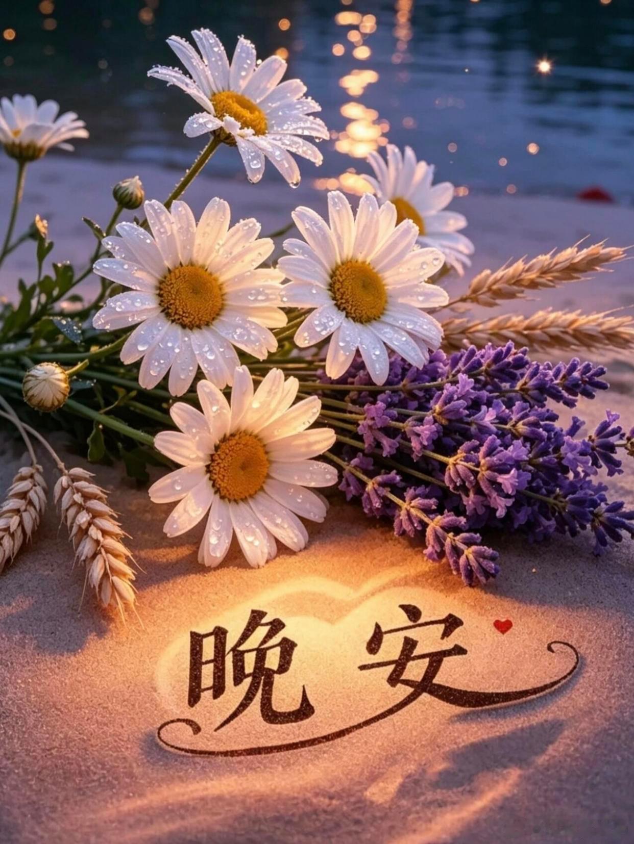 晚安 星光点点缀满夜空，晚风轻轻拂去心头纷扰。生活总有细碎的烦恼与压力，待到夜深