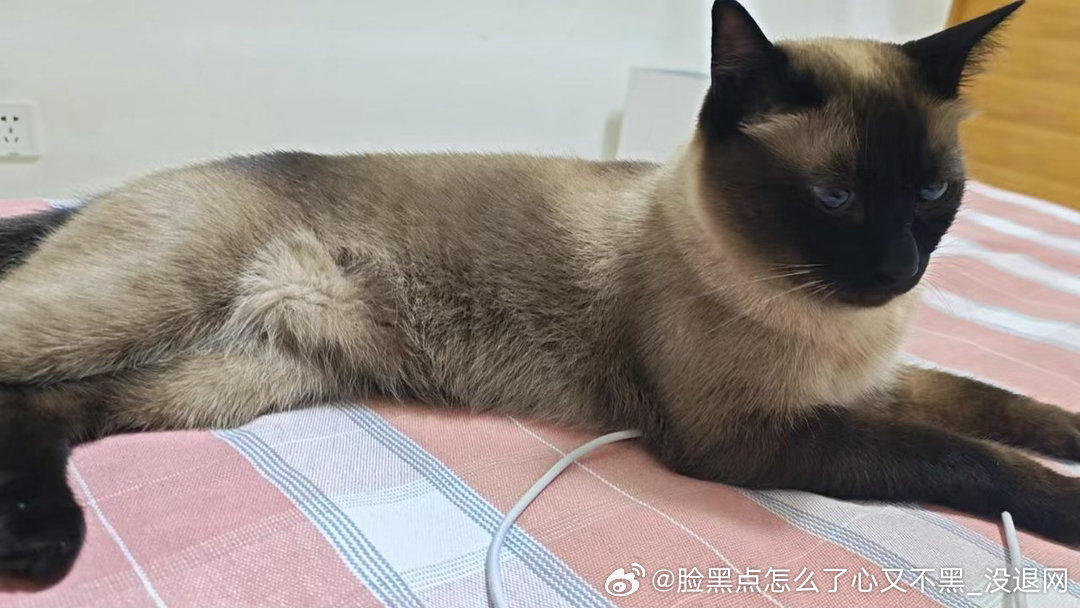 晚安逼罗