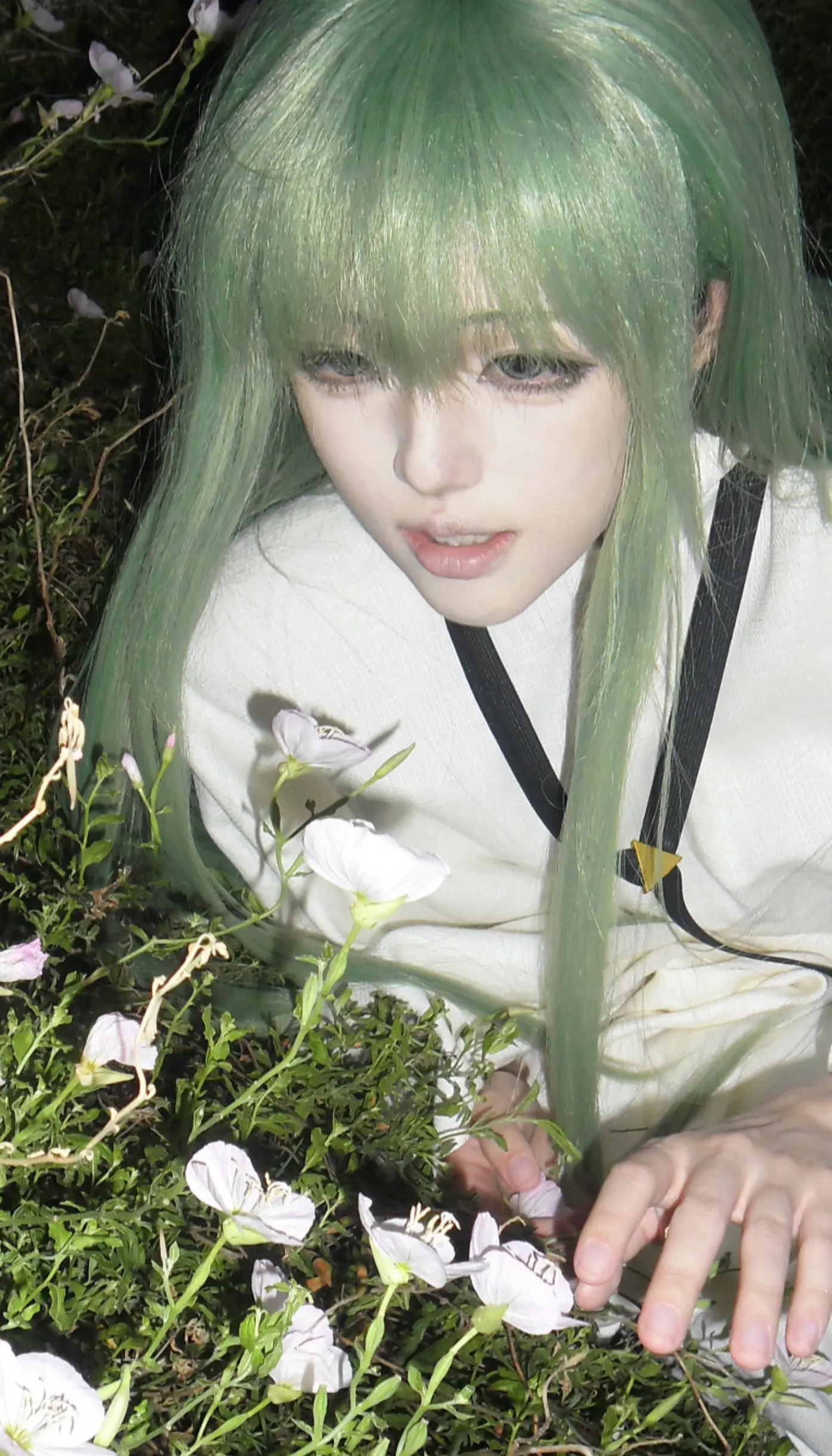 我曾经 聆听山谷的回响 身踏过丛林。