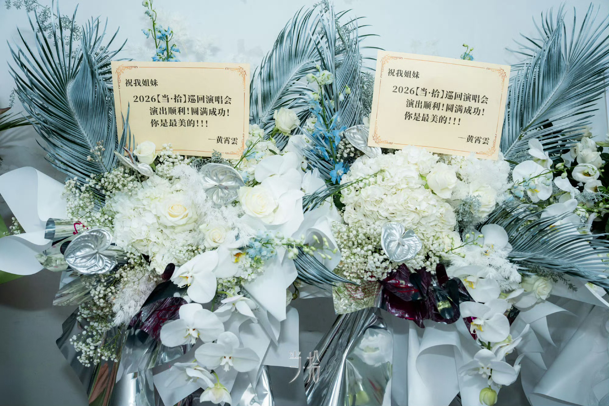 姐妹花最好！