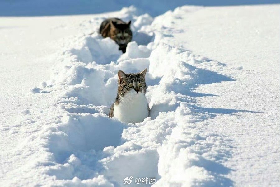 明日大吉，你会收到最期待的好消息。 