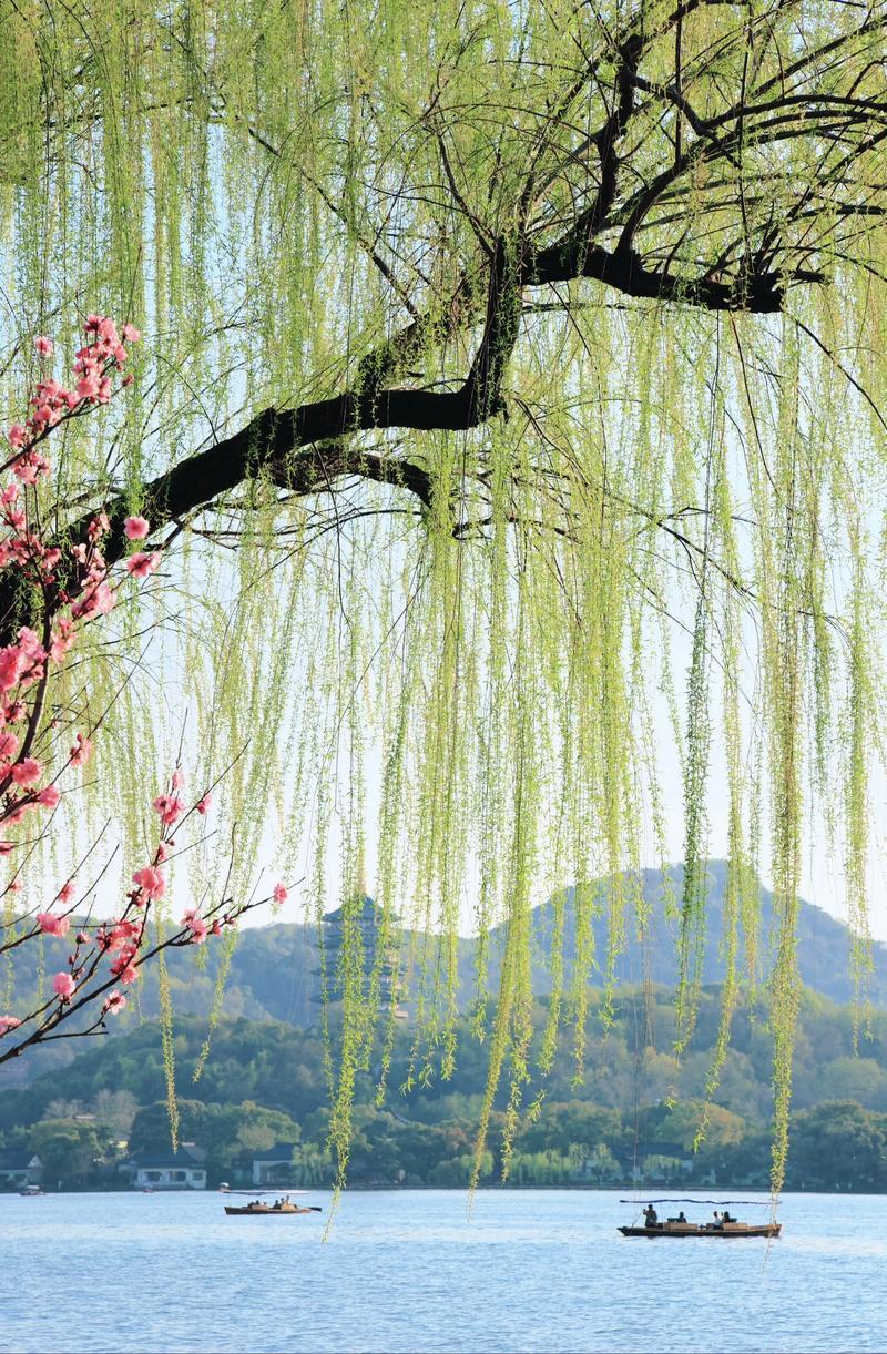 赏析：
上联“三月春风杨柳绿”写春风拂柳，绿意盎然，点明时令与生机；下联“一帘细