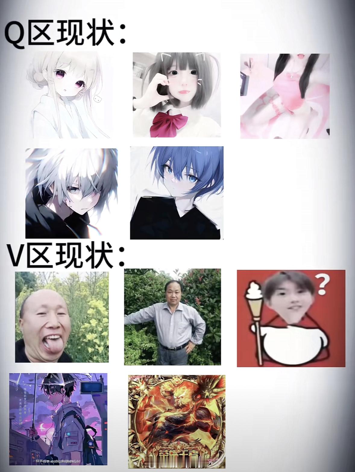 王者荣耀两大区玩家头像现状[doge]#王者荣耀# ​​​