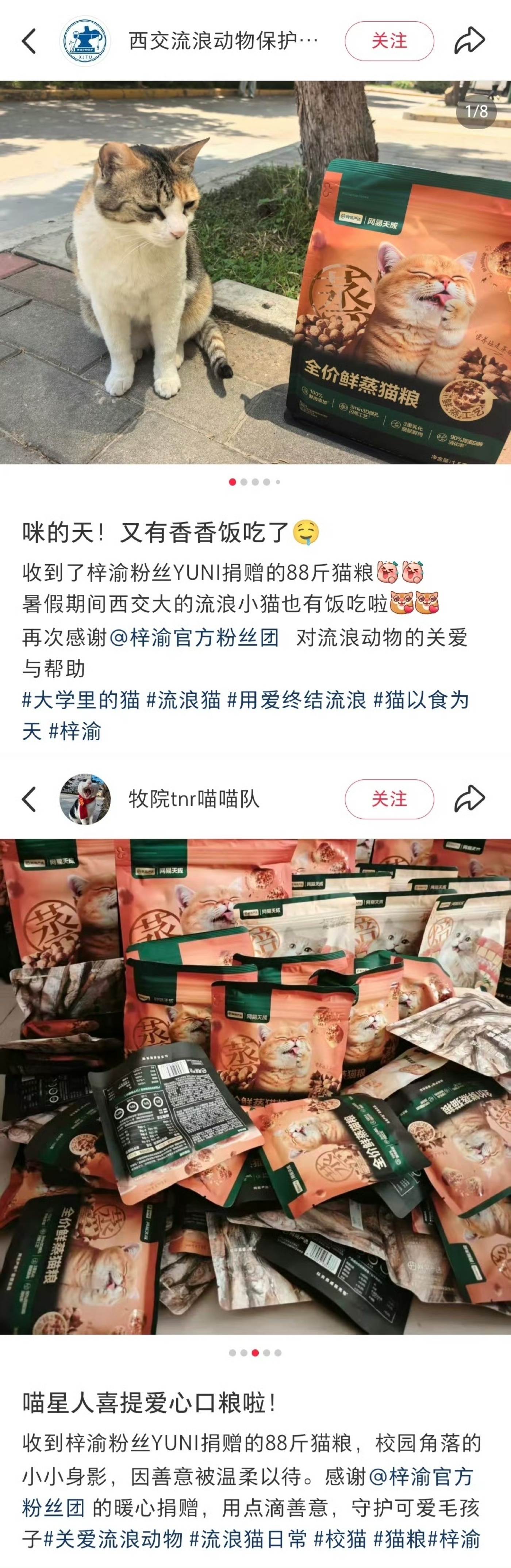 梓渝粉丝YUNI向76所高校捐赠猫粮梓渝粉丝正能量，向76所高校暖心捐赠了猫粮，