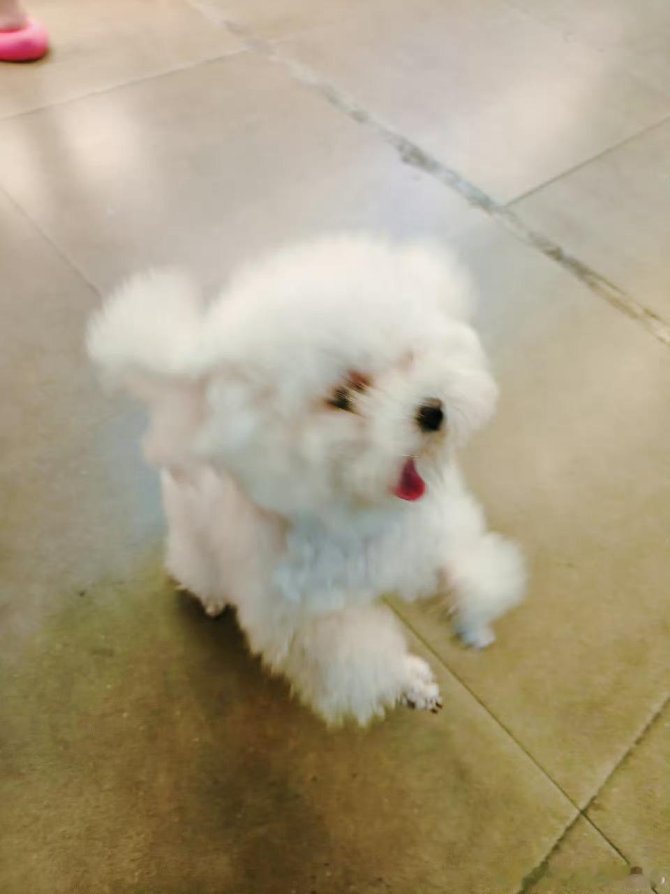 咱们来找吃的啦  *ฅ́ˇฅ̀* ～
