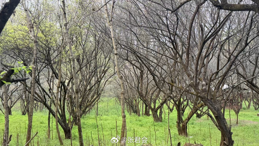 我，发现了一个秘密森林，美到失语且荒无人烟的那种，四周一片寂静，只有各种鸟儿的脚