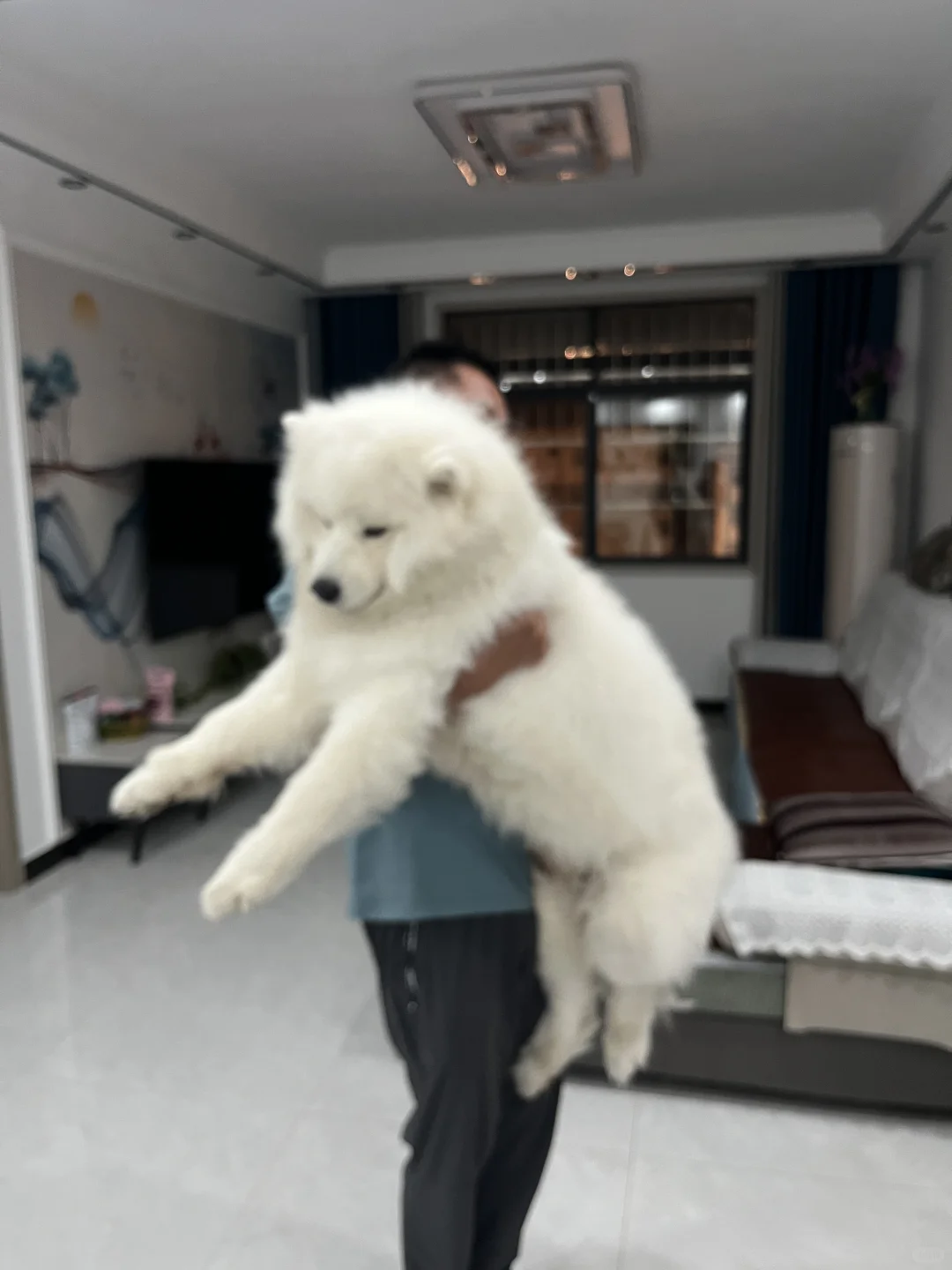 一脸不愿意的样子