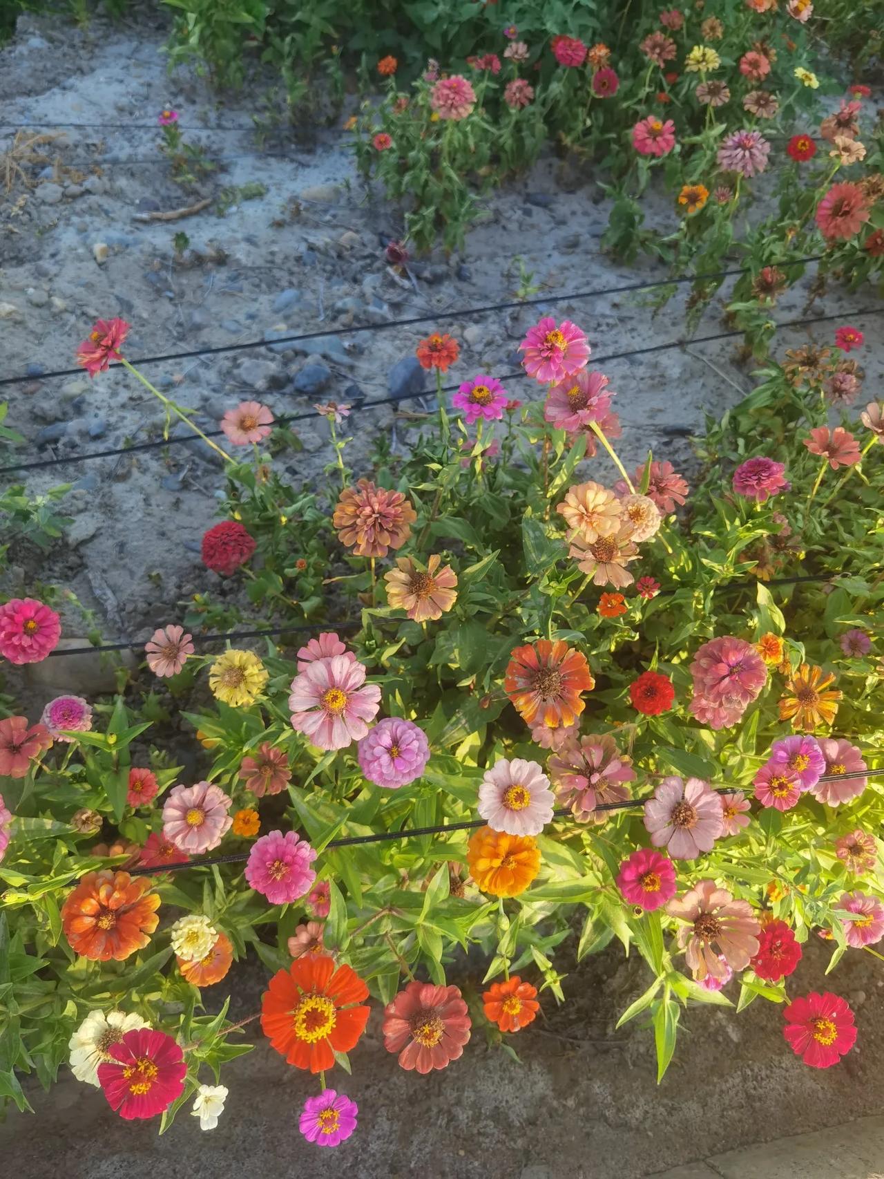 到西部去，到基层去，到祖国最需要我们的地方去。其实祖国的西部，基层绝大多数地方也