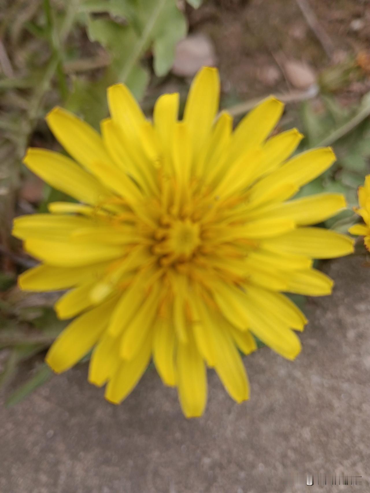 拼命搞钱还是留命养老？现在的中年人太纠结了
 
这段话，瞬间戳中了多少70、80