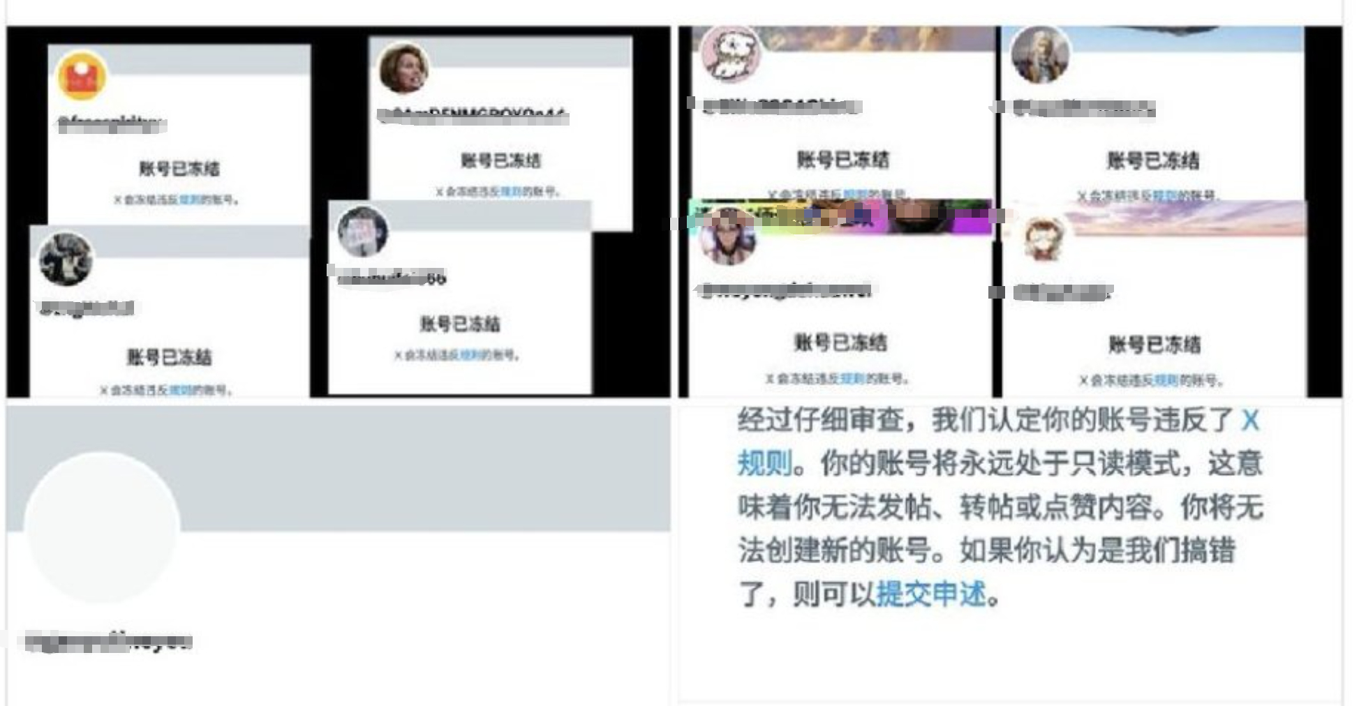 这几天在外面黑叉子平台上出点事，反贼群体被大面积封号，几万粉丝的咔嚓就给你砍了，