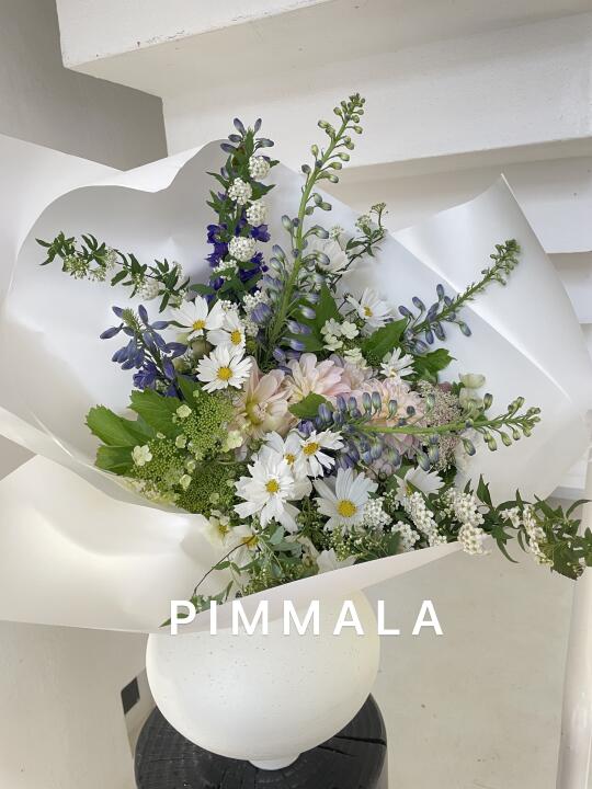 PIMMALA｜春风得意