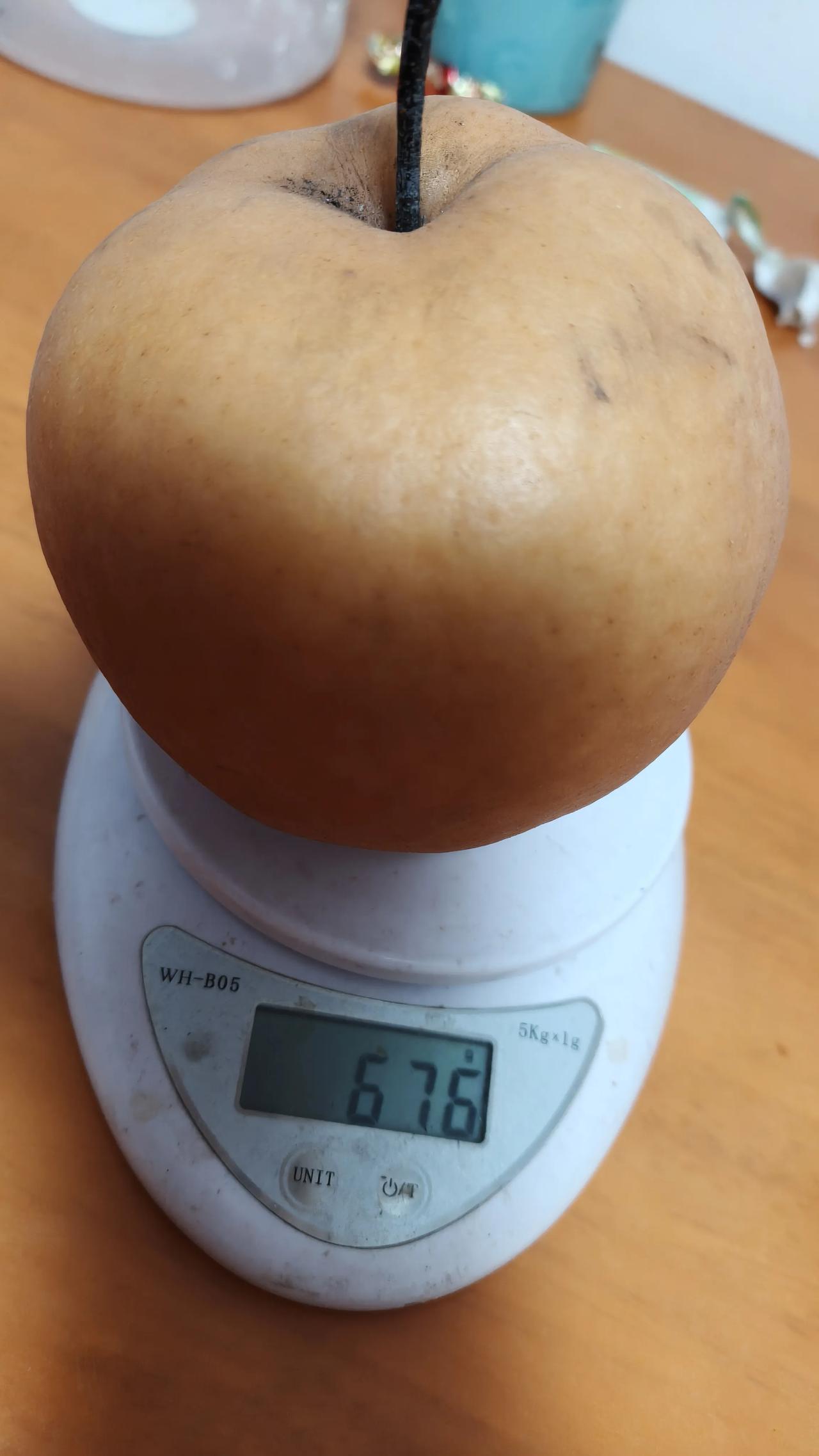 大梨，看着都好吃，冬季干燥，生吃煮水喝都不错，。