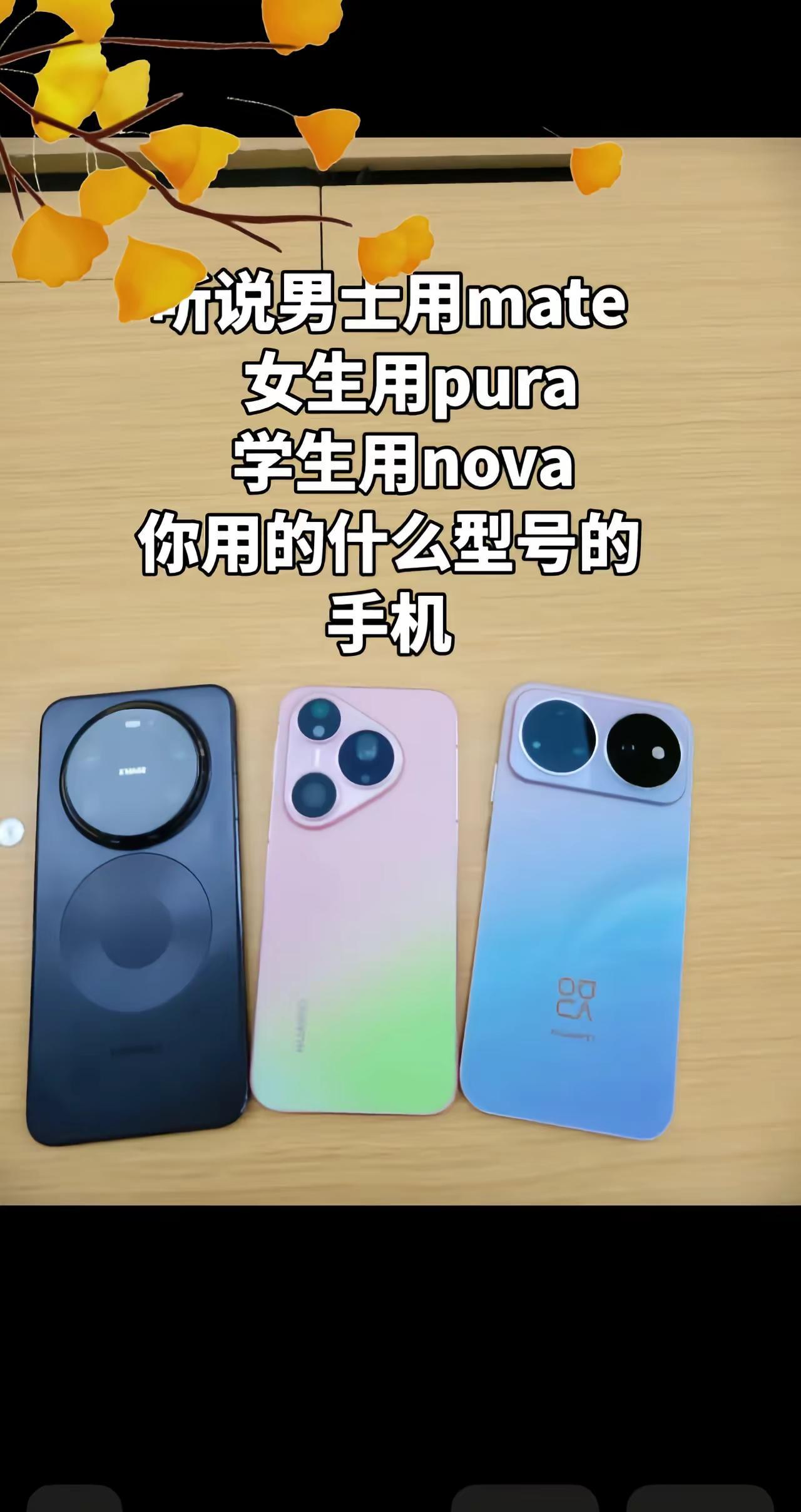 都用的什么系列的呢