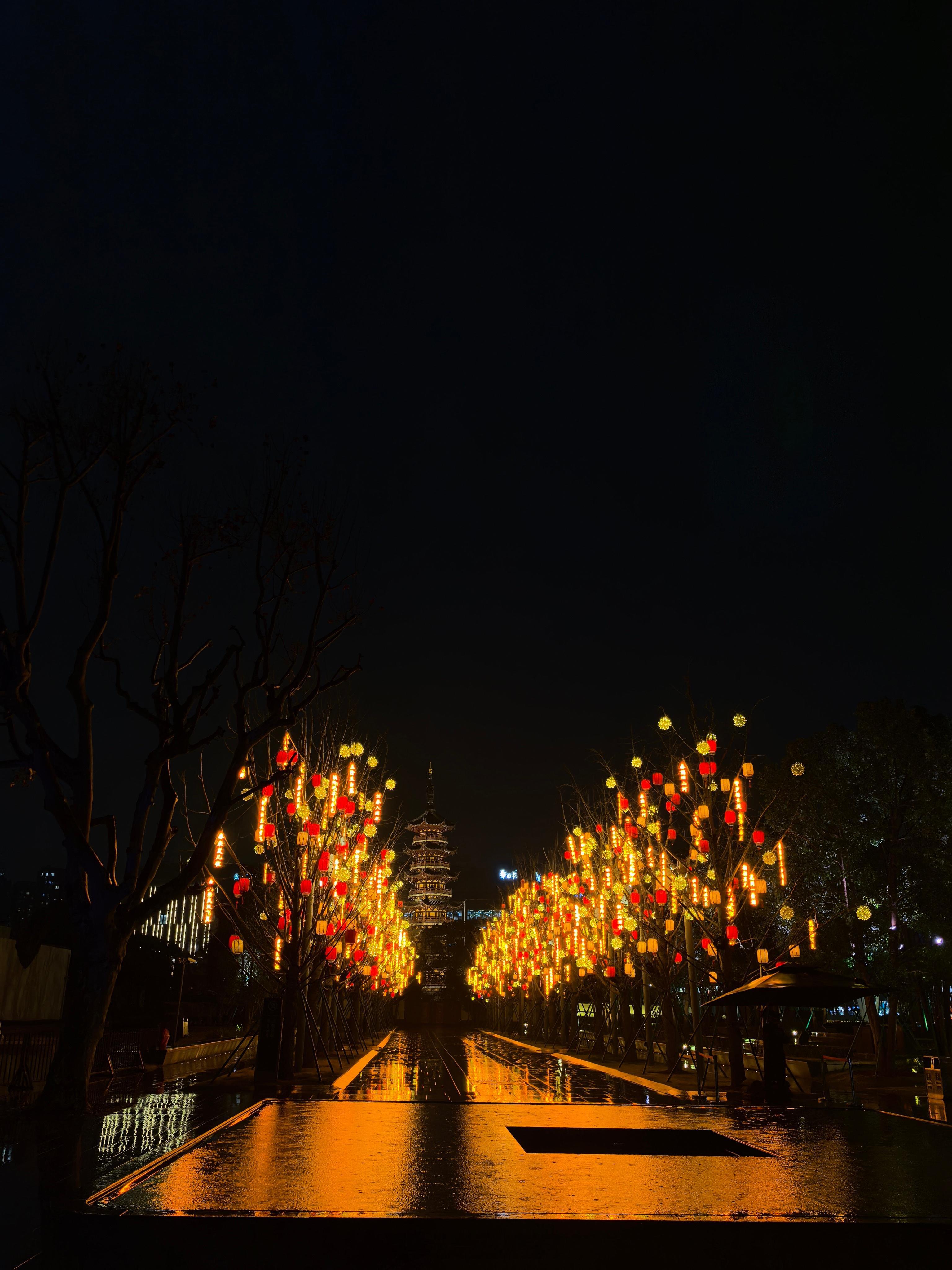 新年的龙华寺龙华寺