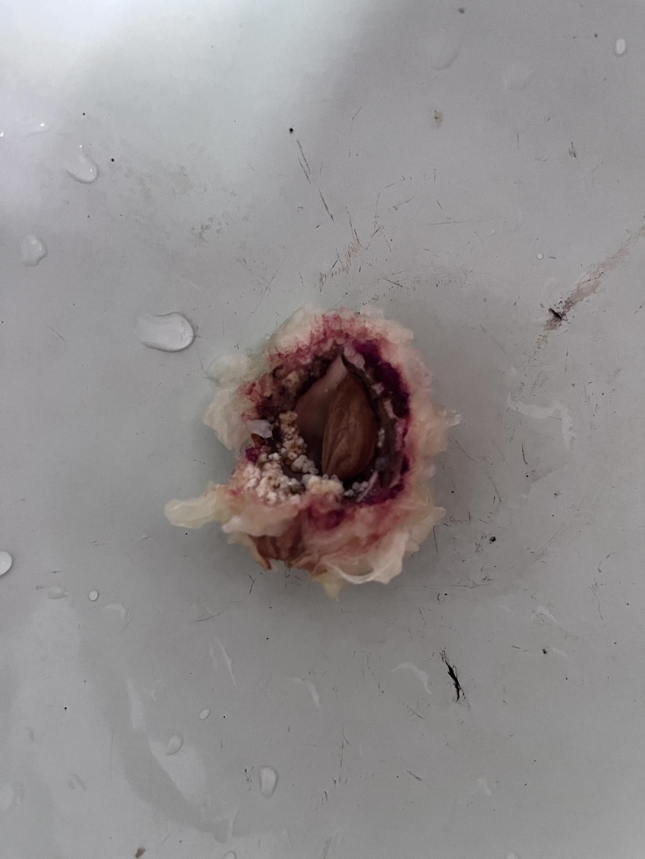 在某超市买的精品龙泉驿桃子，4个桃子3个裂核，还有1个已经有裂痕。花十多元买4个