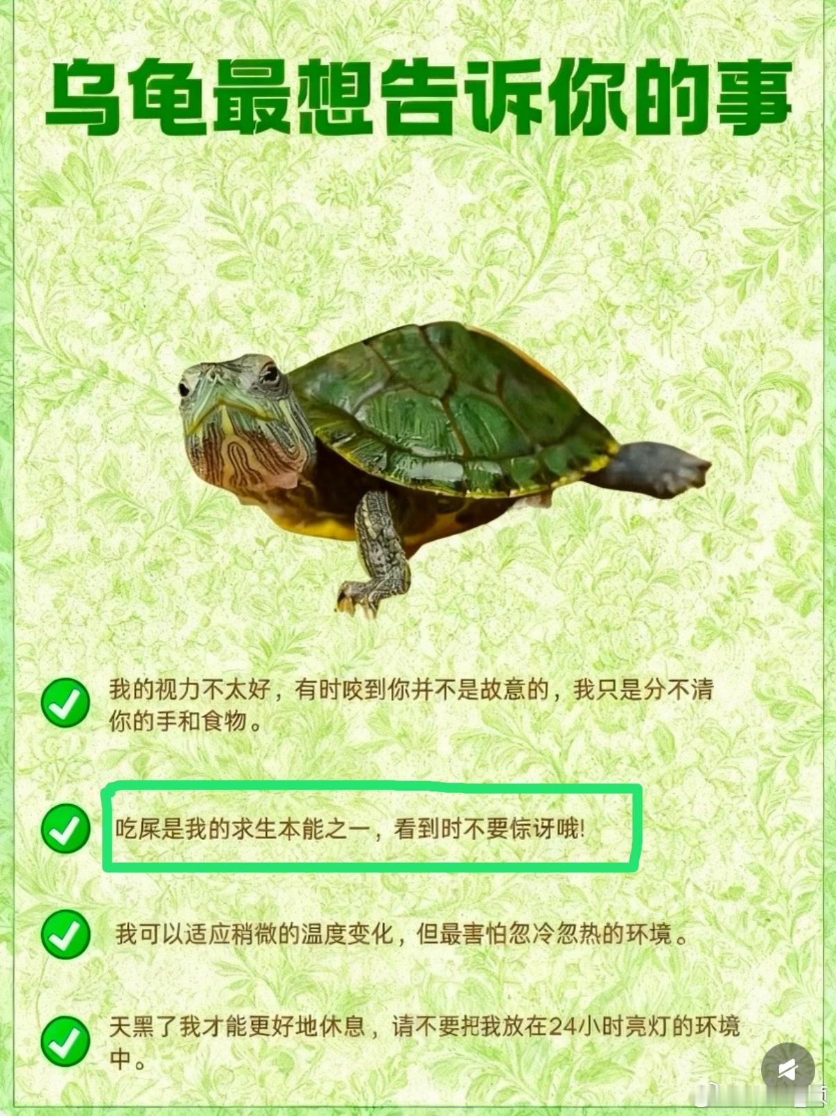 就这样1️⃣起走上了吃💩之巅❓❓