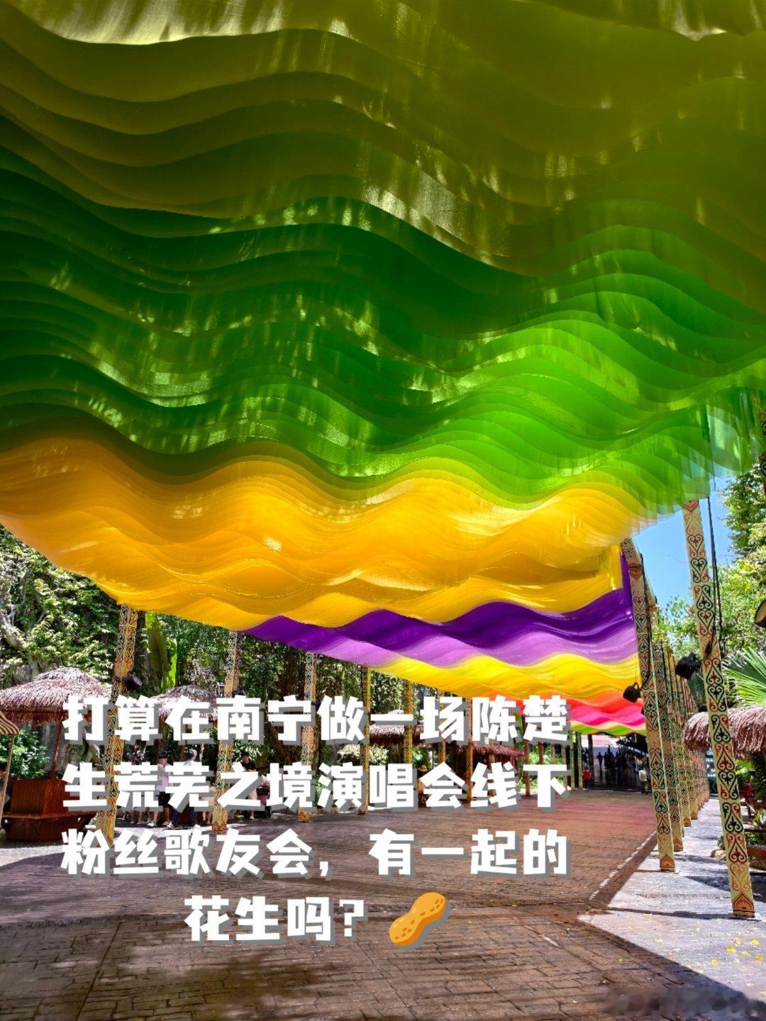 打算在南宁做一场陈楚生荒芜之境演唱会粉丝线下歌友会联欢，有一起的花生吗？陈楚生陈
