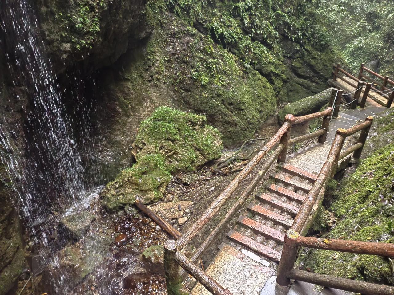 青城山后山风景，以自然风光为主，一般游人很少去后山，我们最钟情山水风光，所以早在