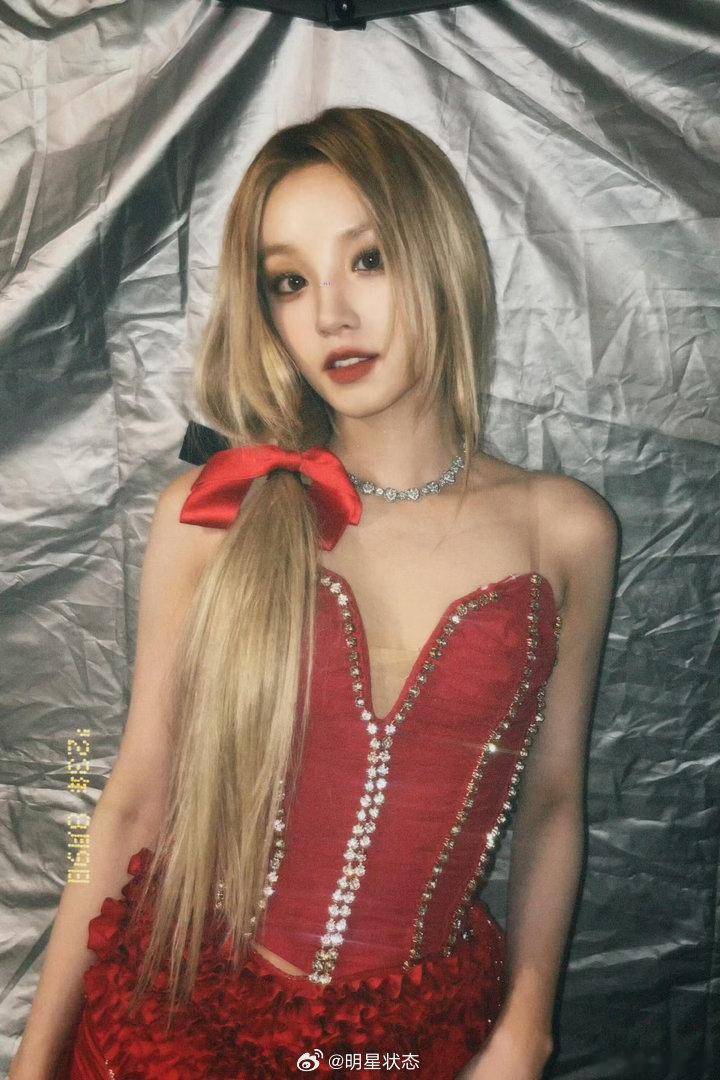 热烈绽放的野玫瑰🥀 