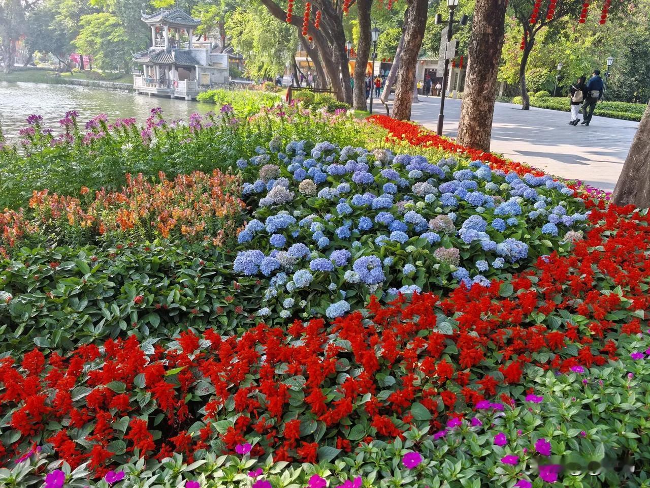 名副其实的花城广州。一段时间没来，荔湾湖公园竟然又换了“花”款啦！