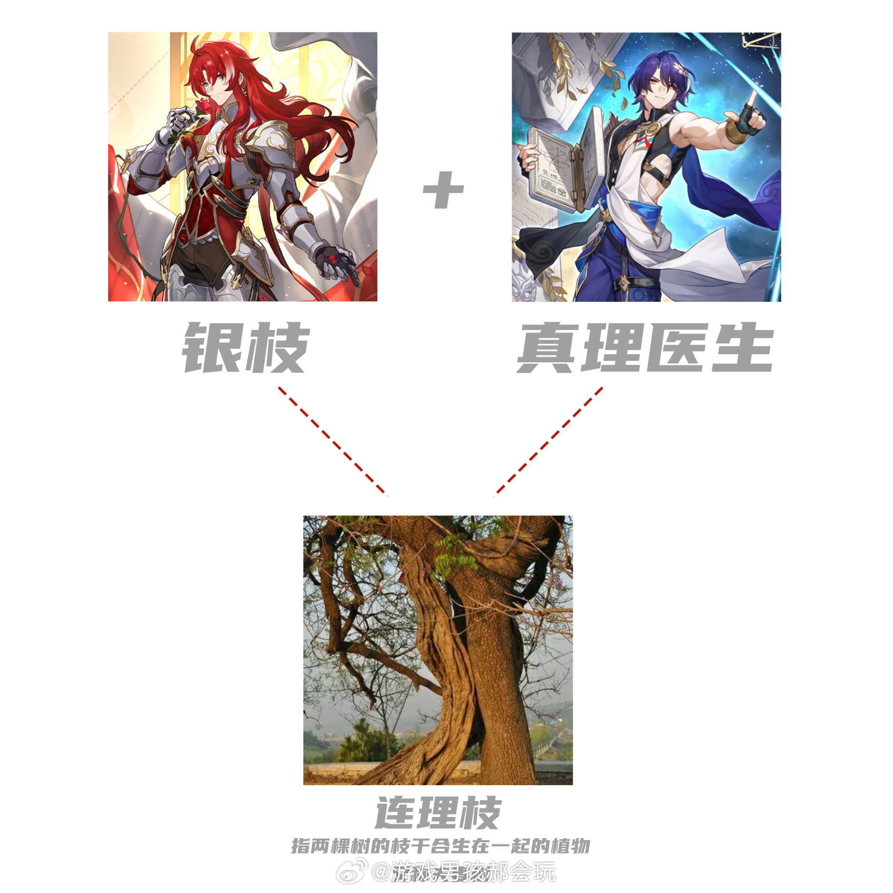不得不说，银枝真是百搭体质[doge]那银枝+杰帕德=？#银枝##星穹铁道银枝#