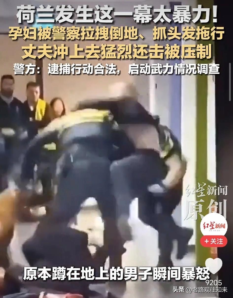 荷兰警察一把拽倒他怀孕的妻子，这个非法移民挥出了全世界丈夫都会挥出的一拳

看得