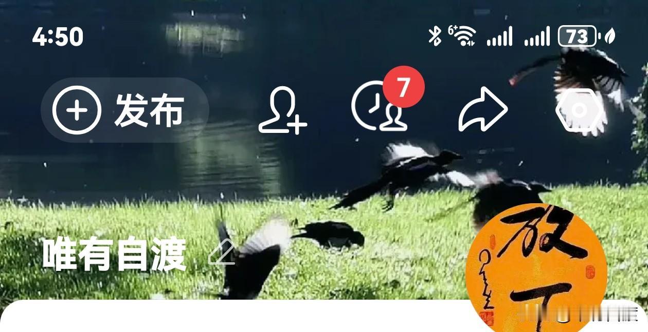 这一大早打开头条，忽然发现，自己主页上佩戴的“热点侠”勋章，悄无声息的被摘掉了。