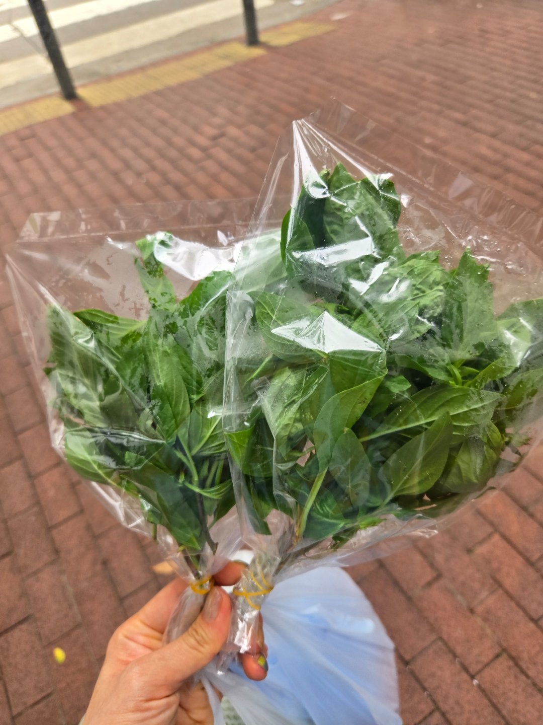 沒柚葉用九層塔洗洗 