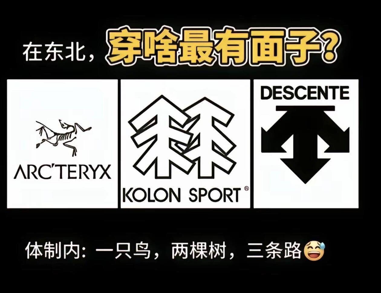 中年男人有三宝：一只鸟 两棵树  三条路 一只鸟是始祖鸟 两棵树是可隆...