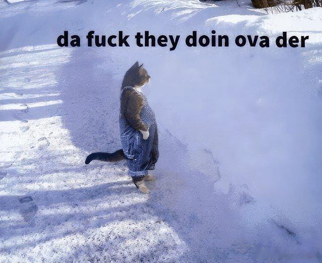 加拿大现在每天都在看美国。 